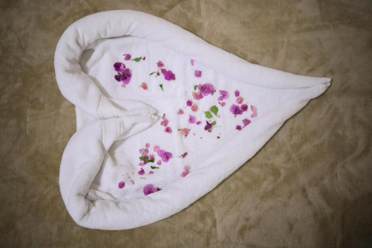 Kana Kato Assouan Chambre photo